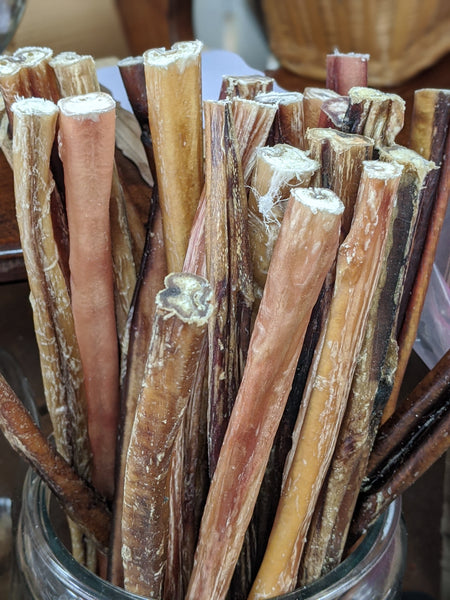 Chews-Bully Stick 12" Regular